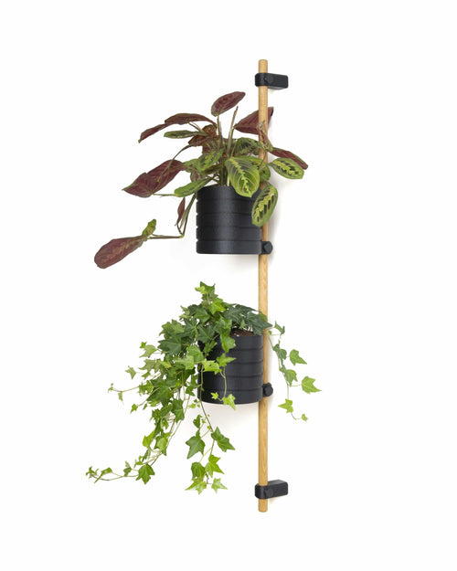 KIMU wall planter: oak rod with two black pots holding a prayer plant and trailing ivy, on a white background