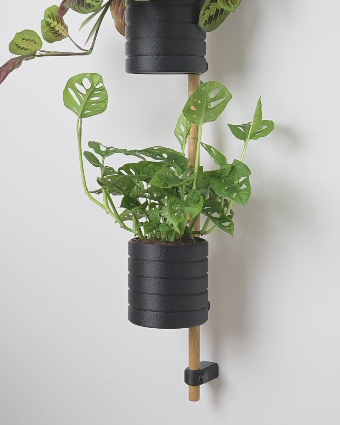 Video: KIMU pots with plants on the oak rod, mounted on the wall